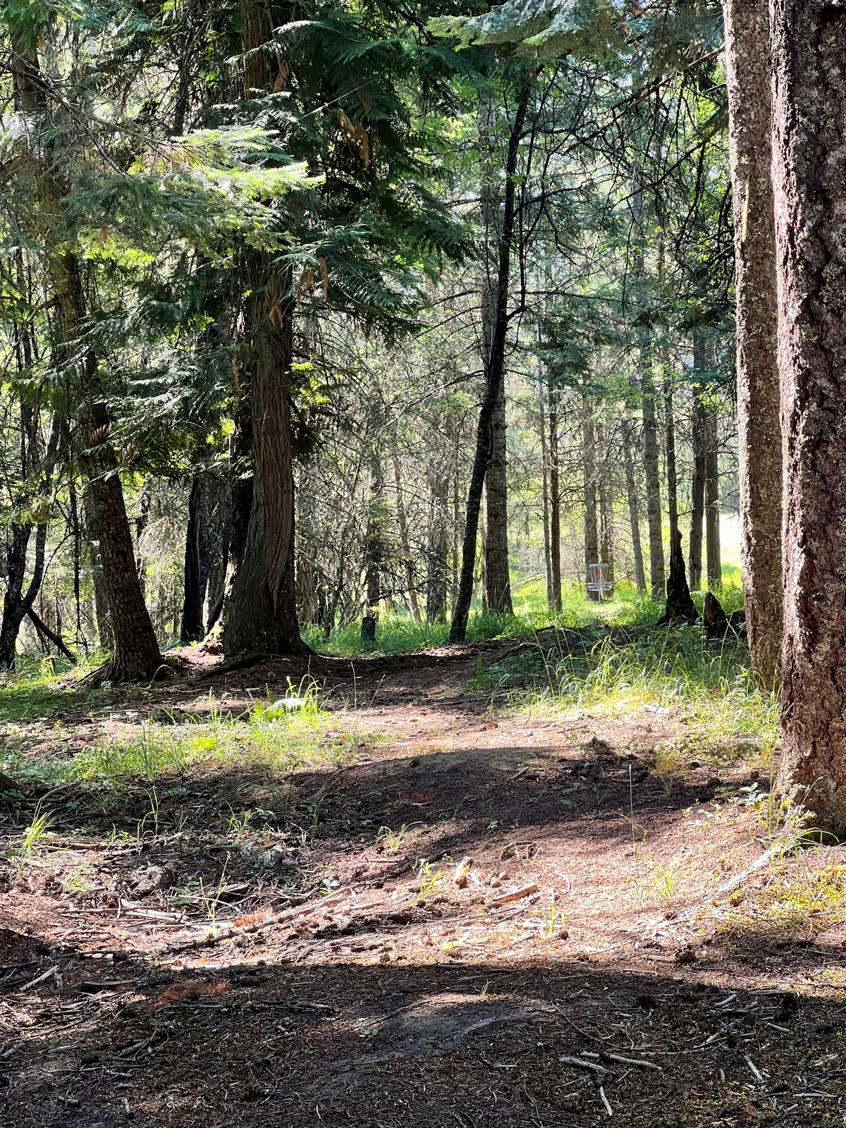 Hole 18. Tight gap