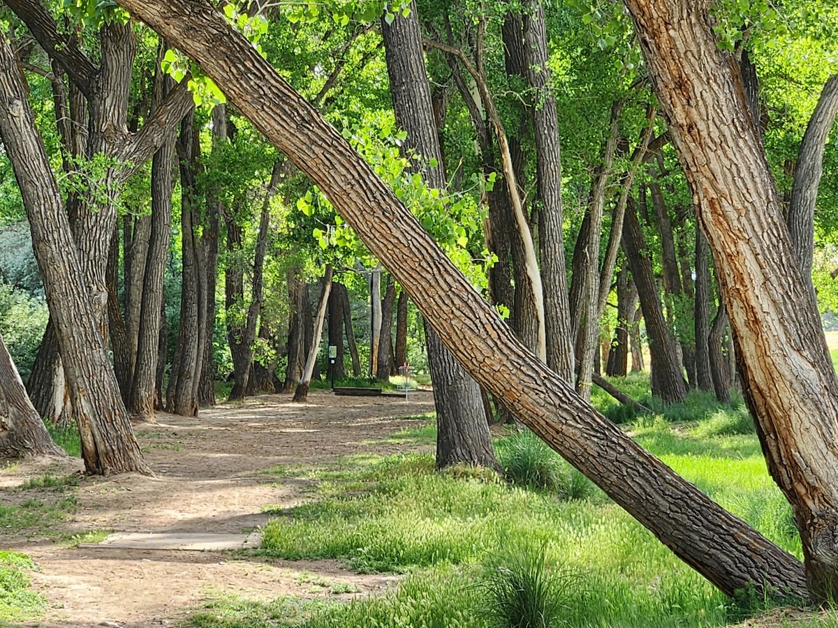Riverbend Disc Golf Park