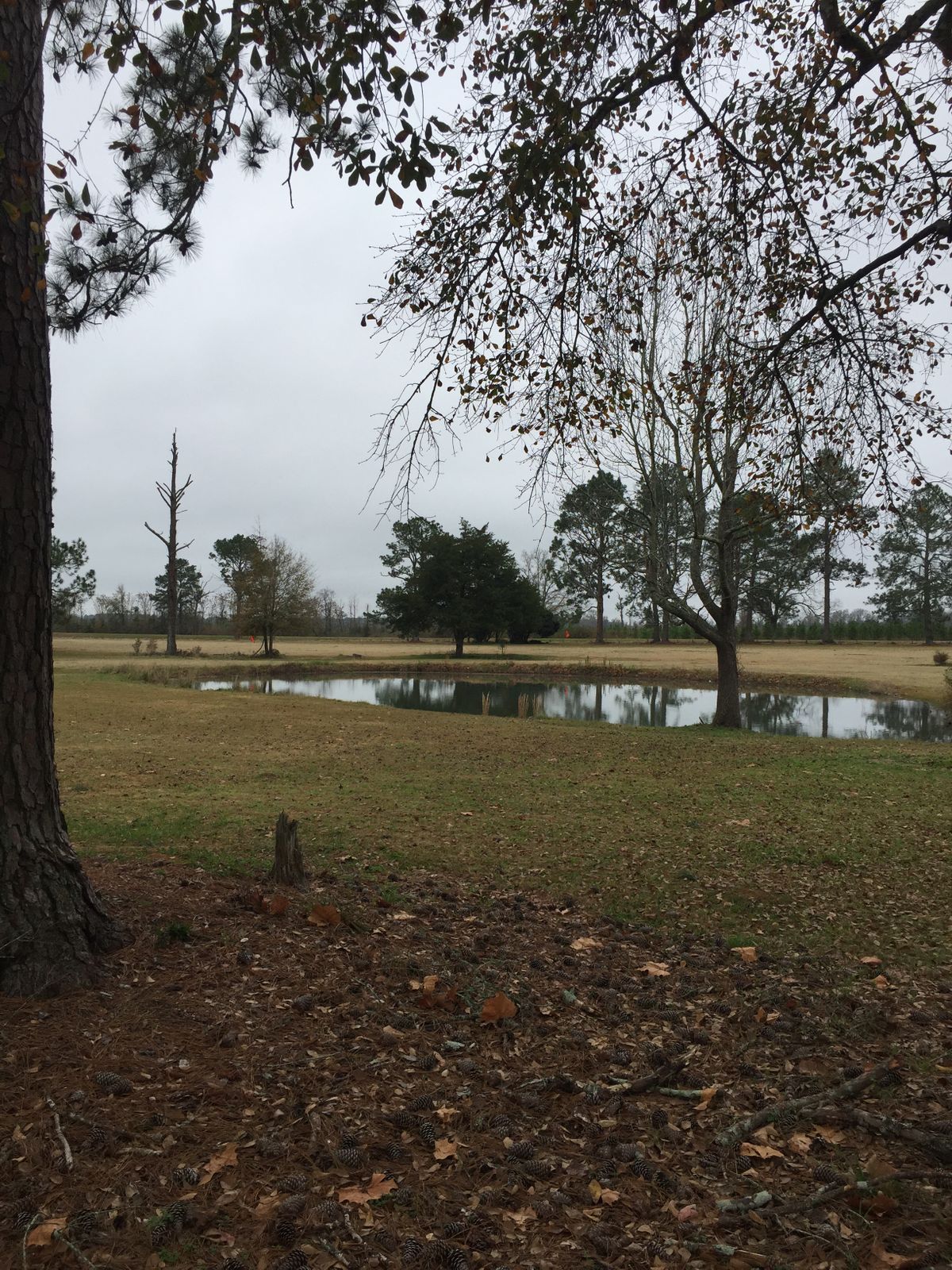 Hole 12
