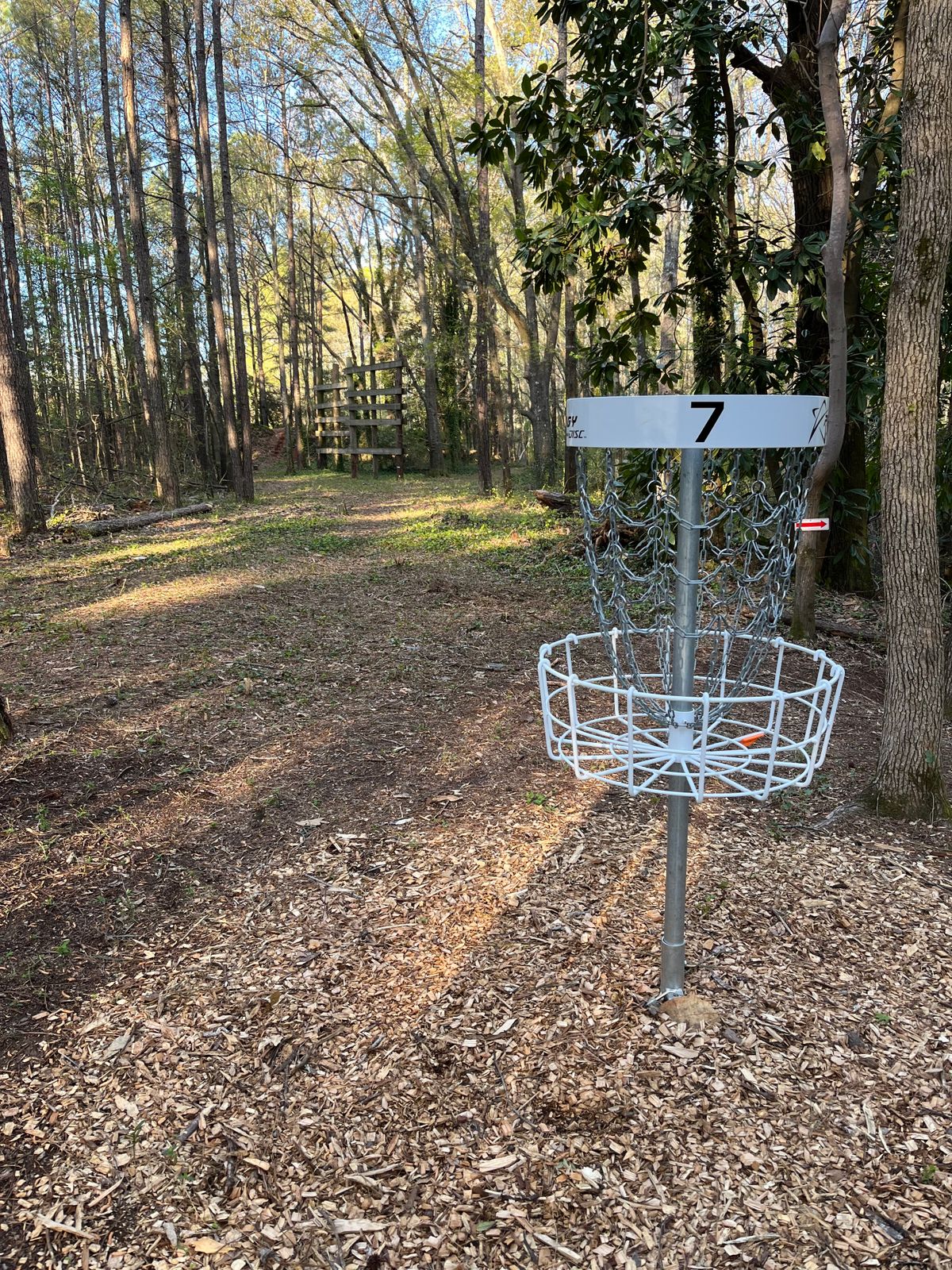 Hole 7 long basket