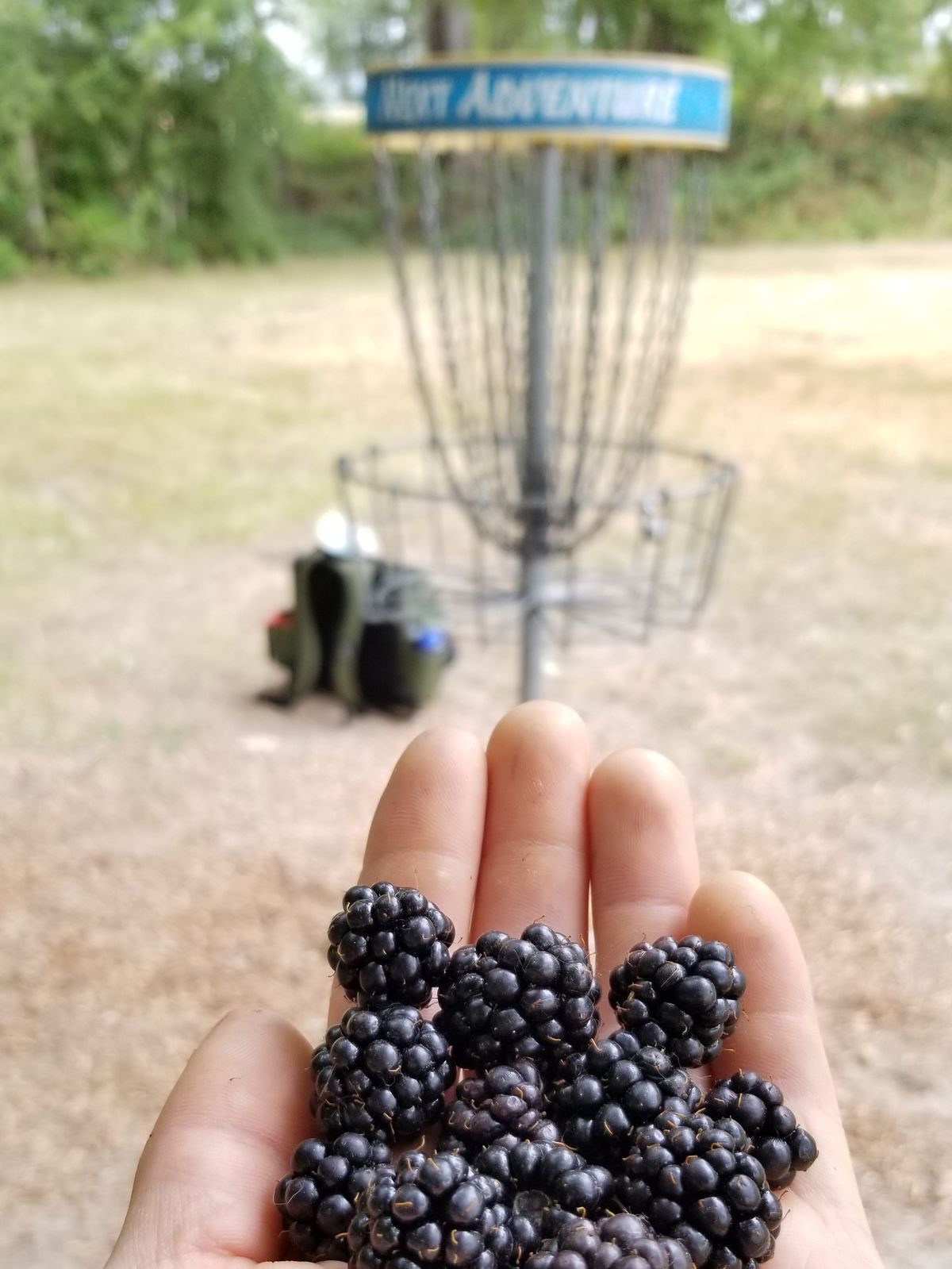 Late August is a good time to play