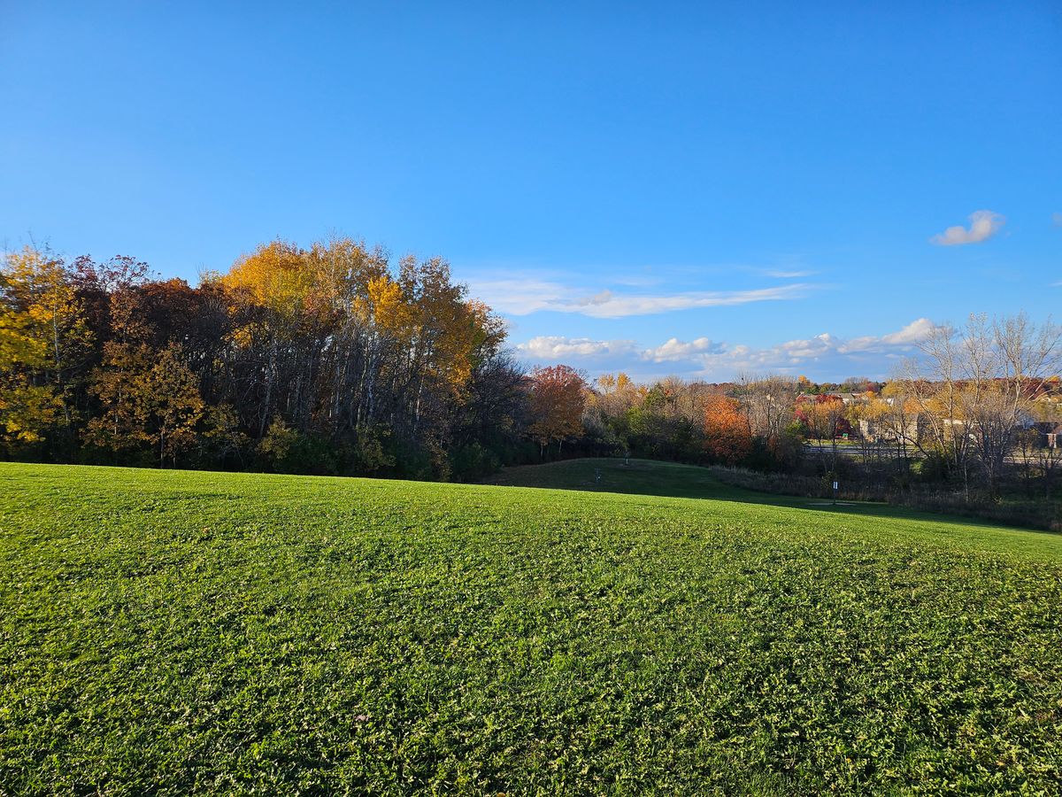 View of hole 16 green from hole 18 fairway. Might be the last fall colors you see with the baskets