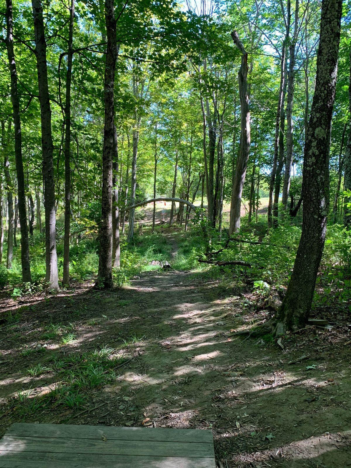 Tee shot hole 12
