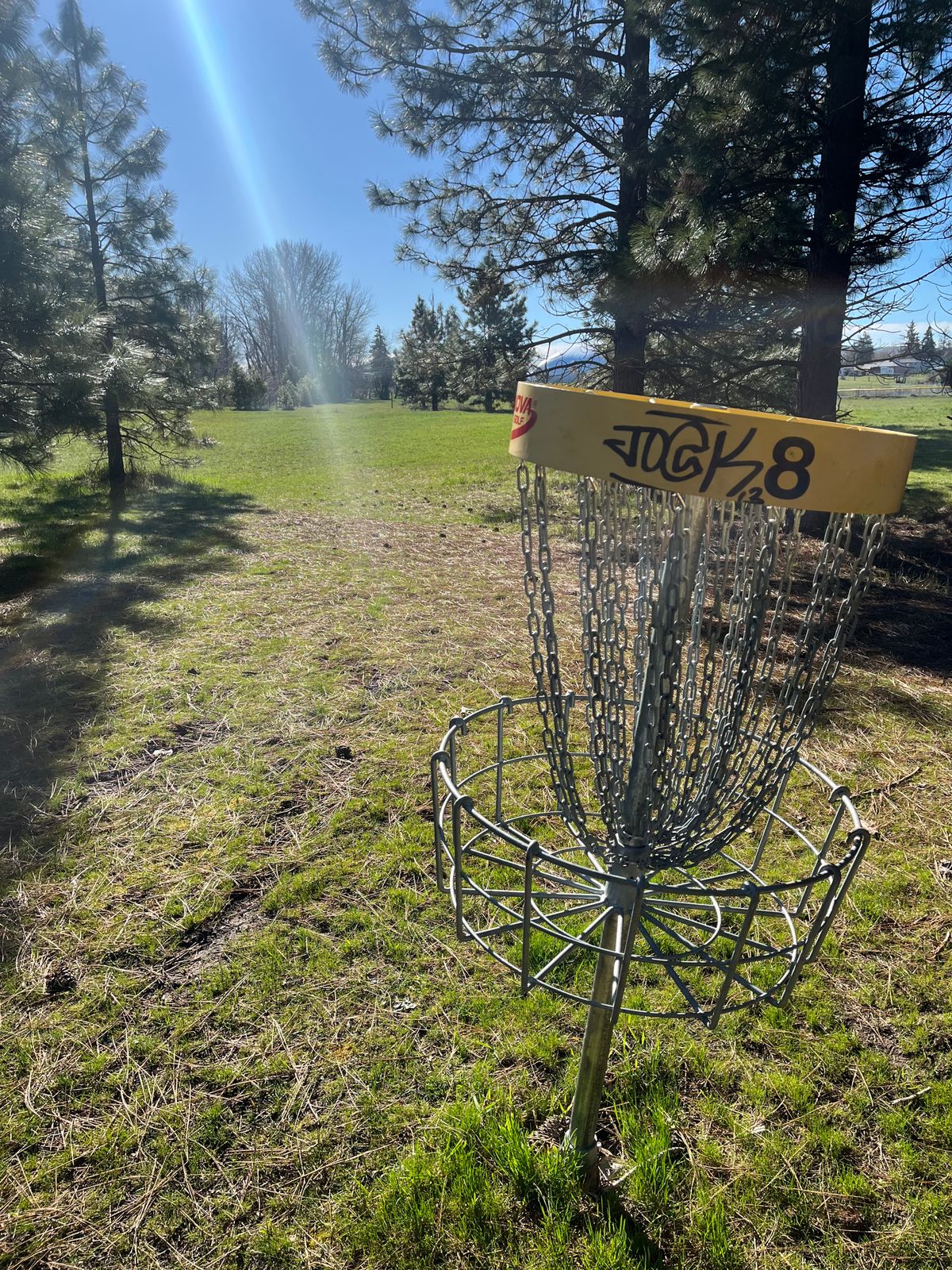 Looking back at tee pad