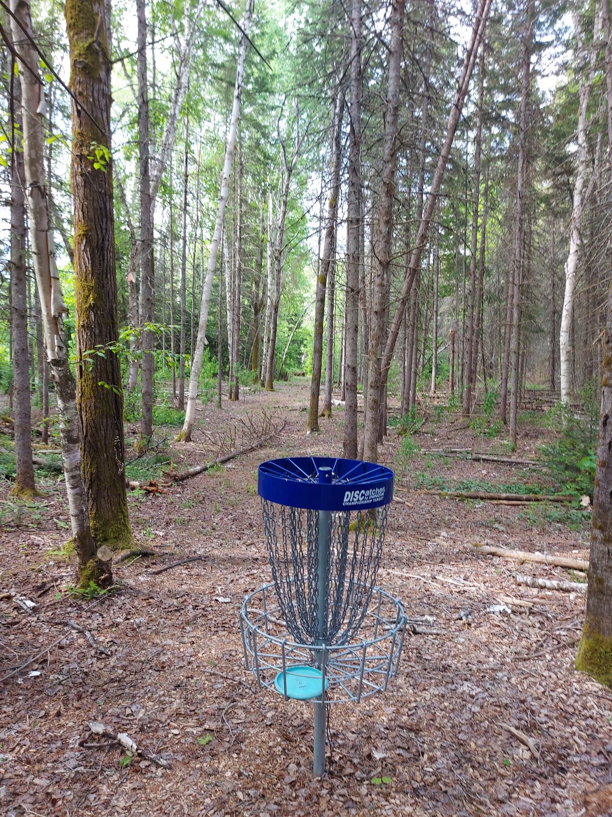 Reverse back up the fairway. 🍁🌲🍁🌲🍁🌲