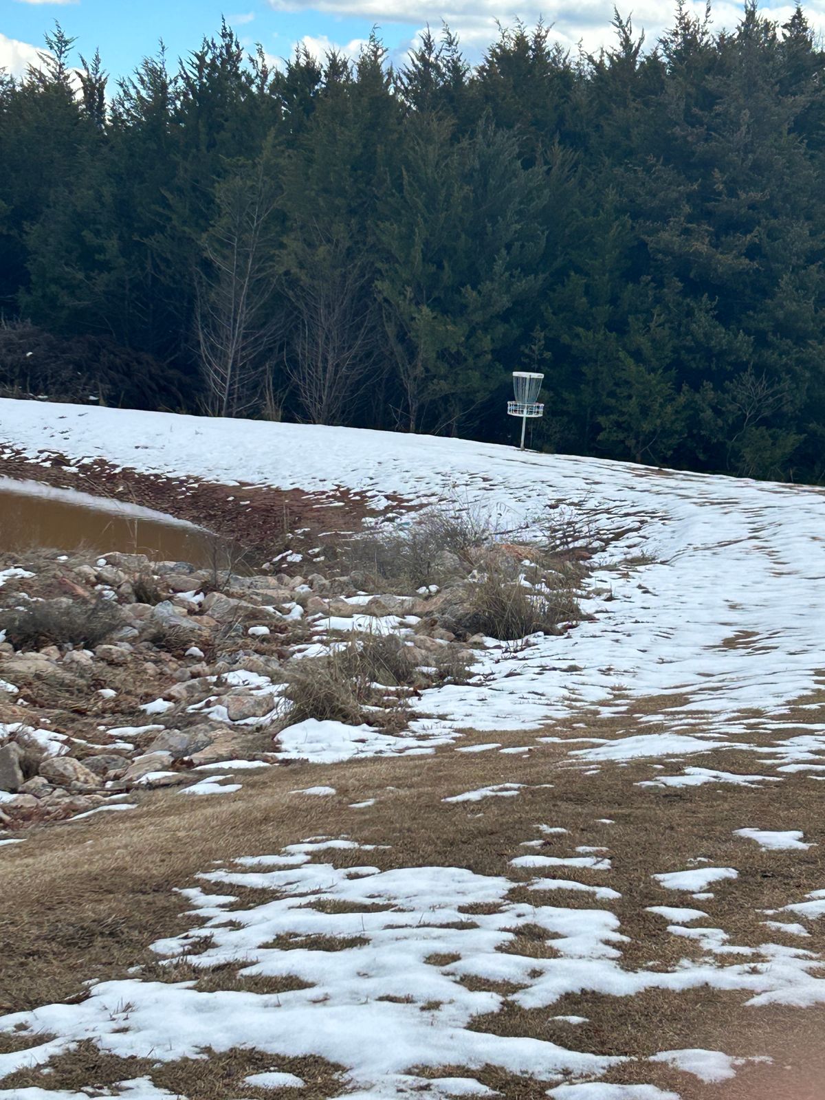 Hole 2 basket