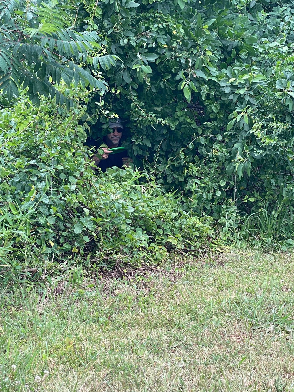 Bush golf