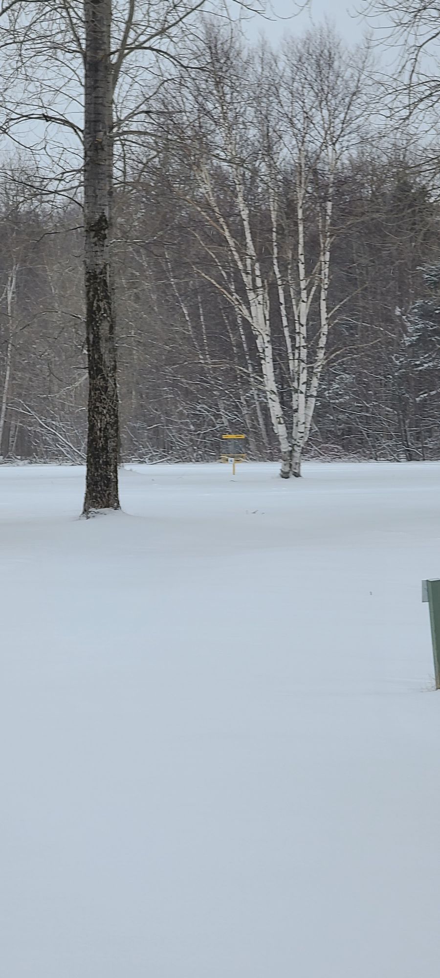 Hole number 5 Jan 24