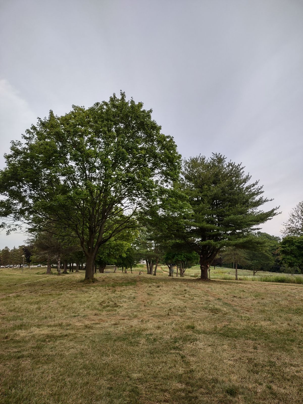 Hole 17 approach