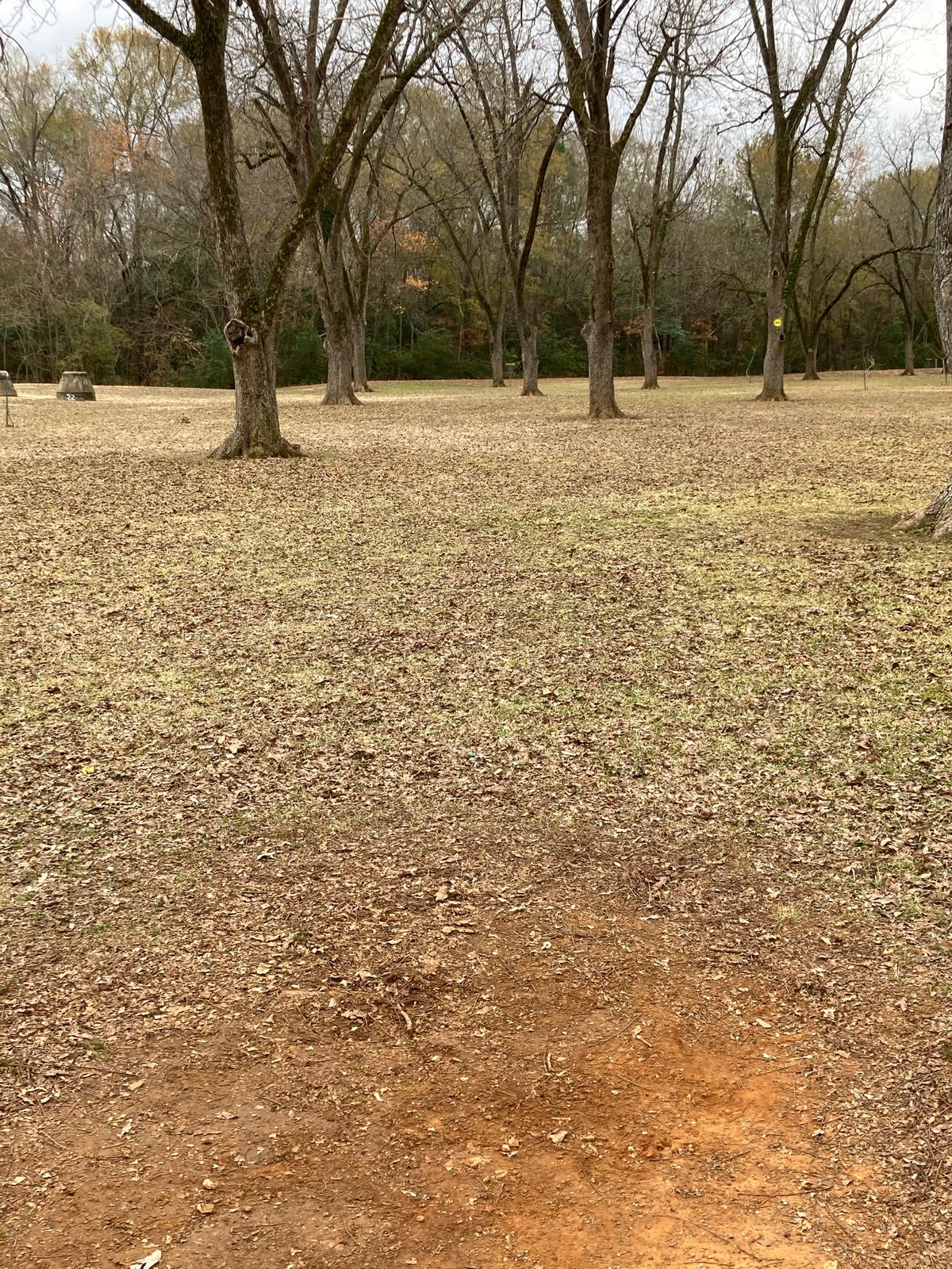 Hole 5