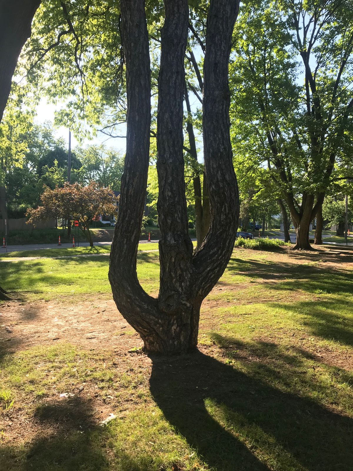 Wagner Park