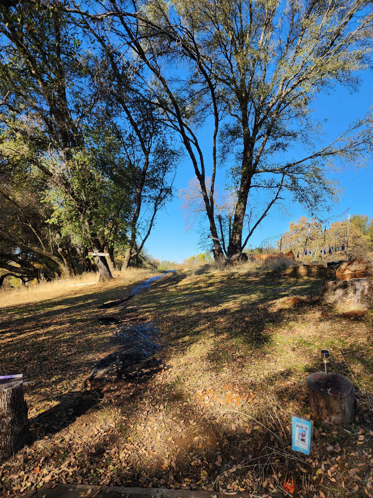 Hole 18 Tee