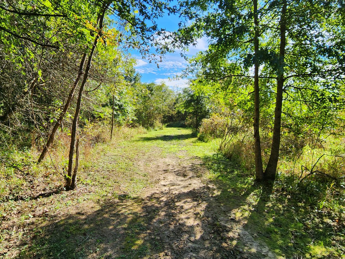 No. 17 fairway