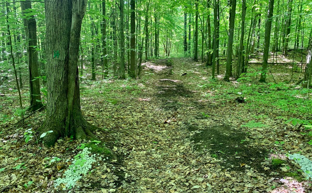 Hole 14