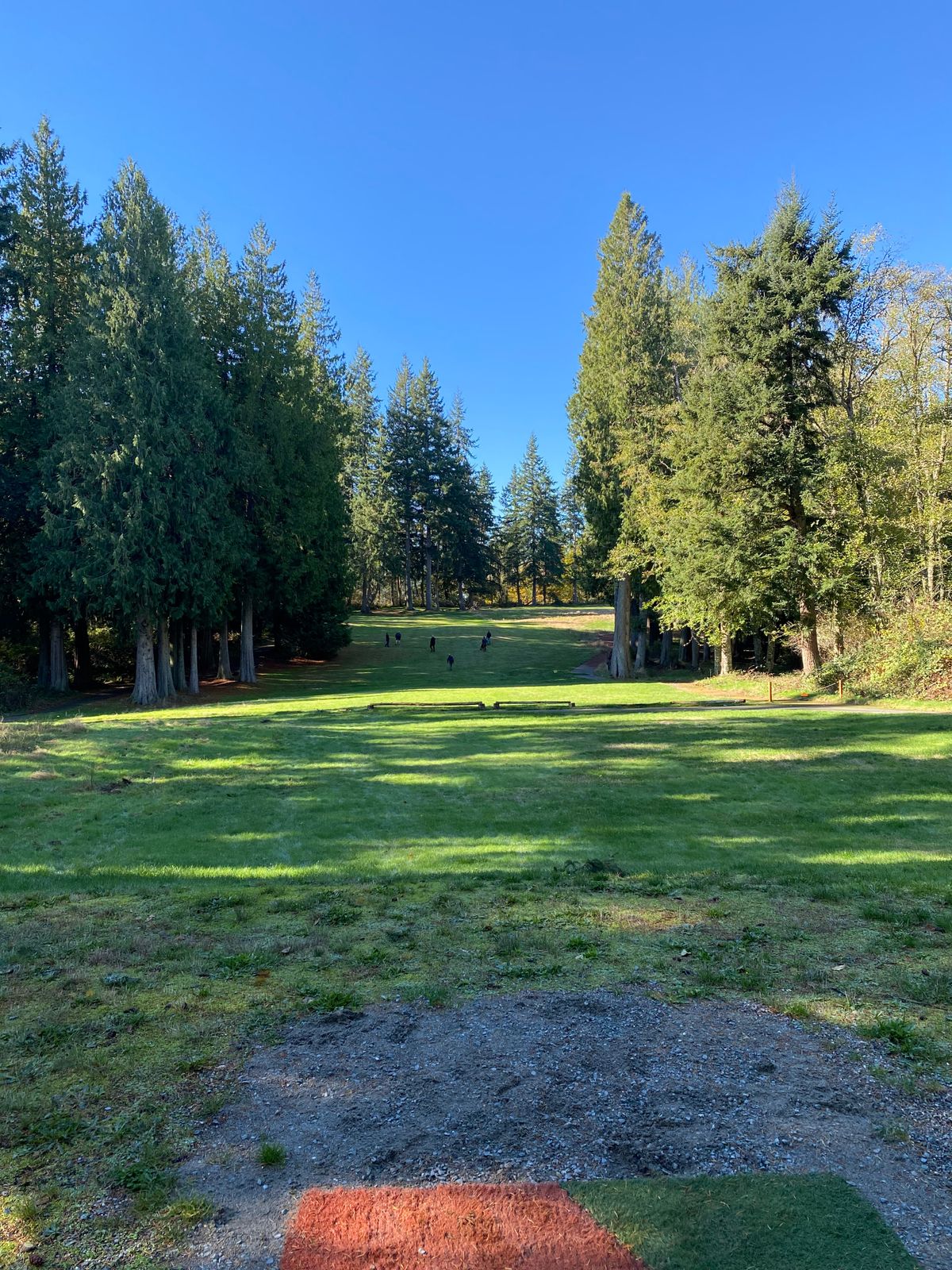 Hole 10