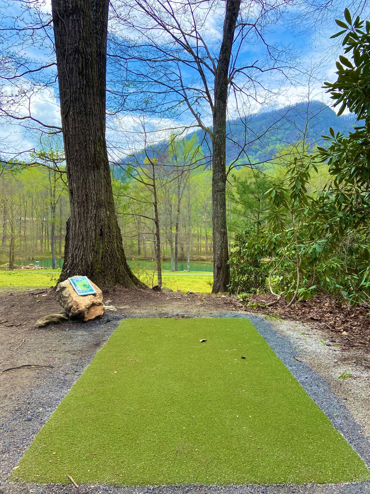 Tee of hole 6