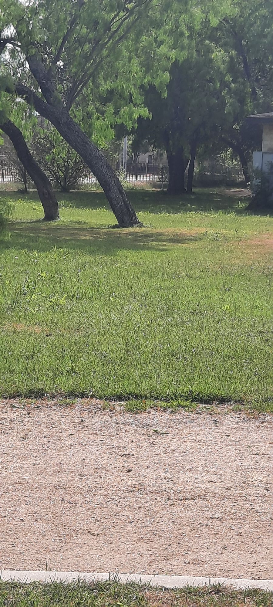 Hole 1