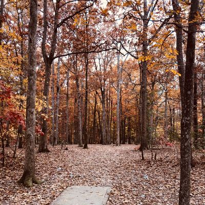 Hole 6