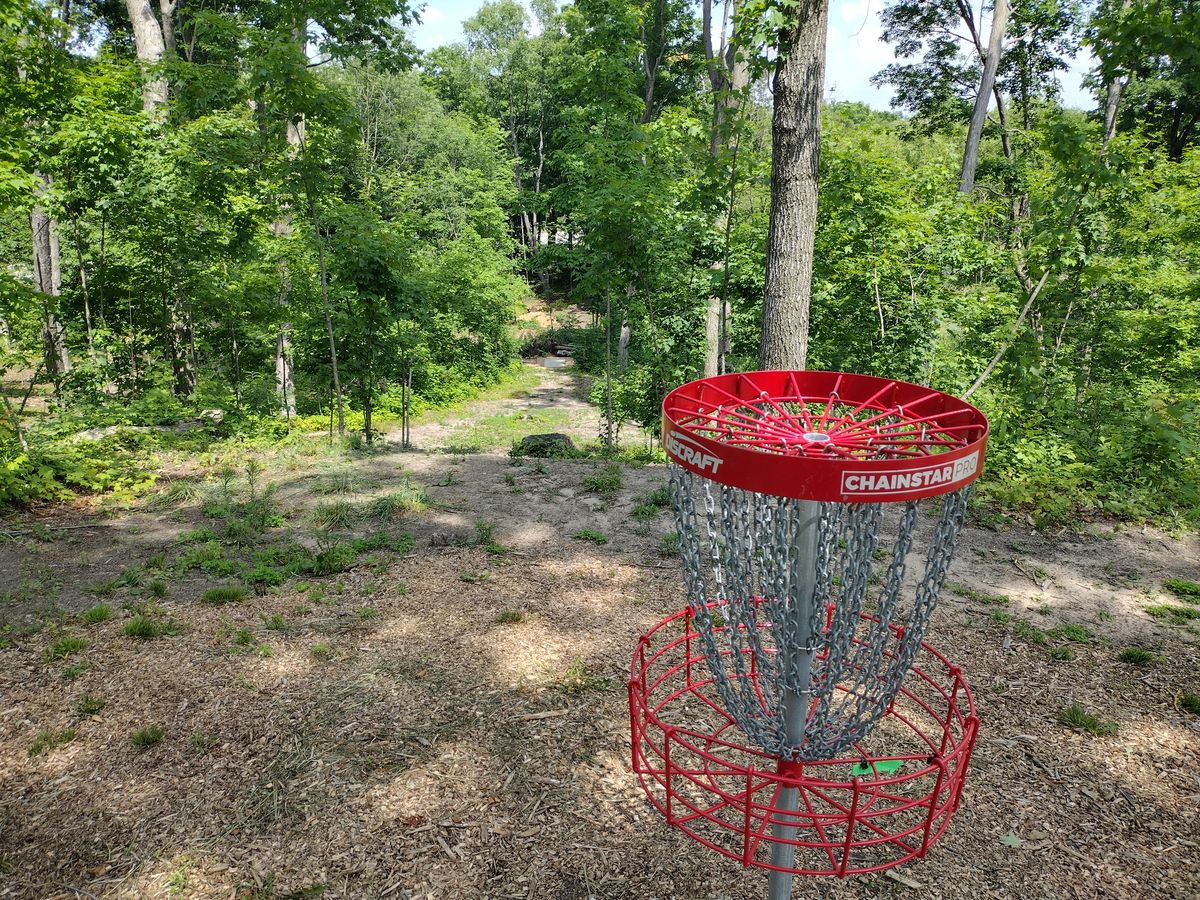 Hole 1 basket looking back down the fairway.