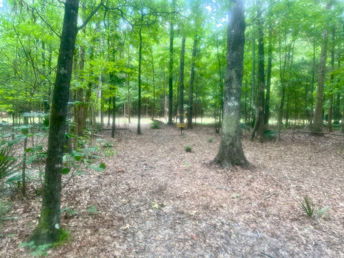 Hole 1 approach