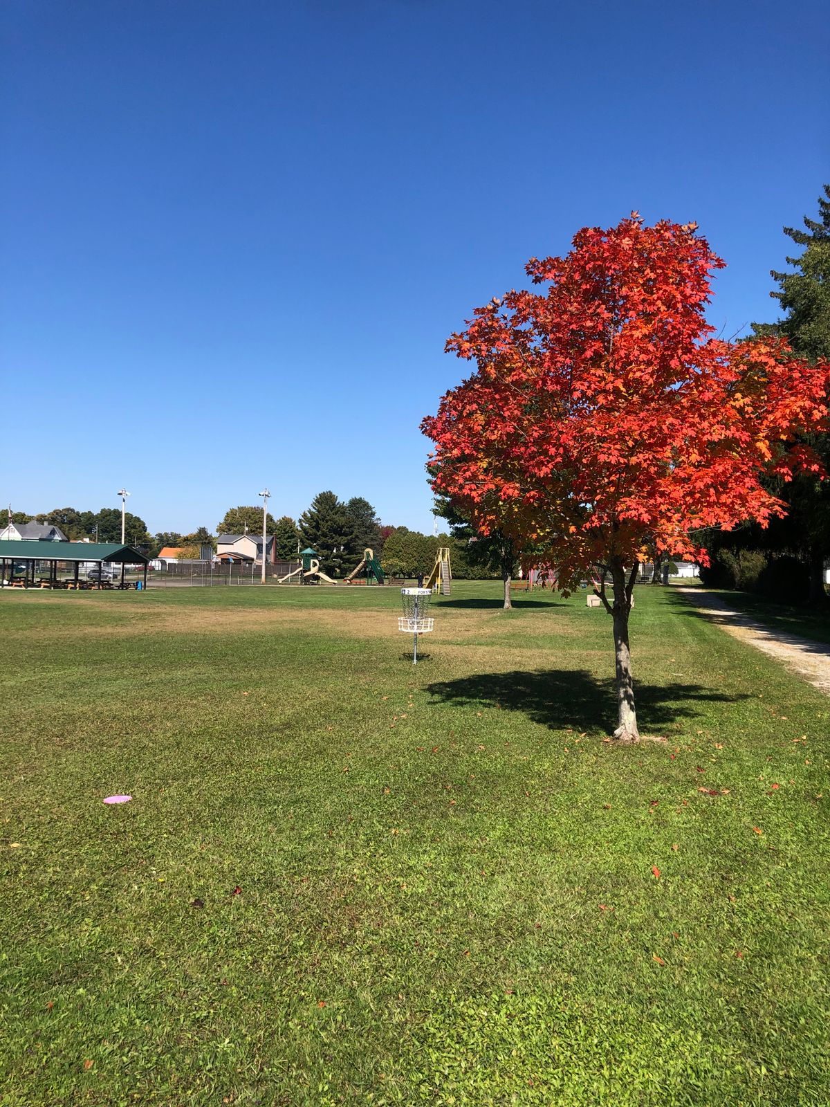 Hole 2 Basket