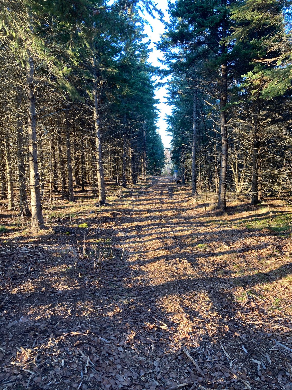 A section of tunnel on hole 16 towards the south end of the course.