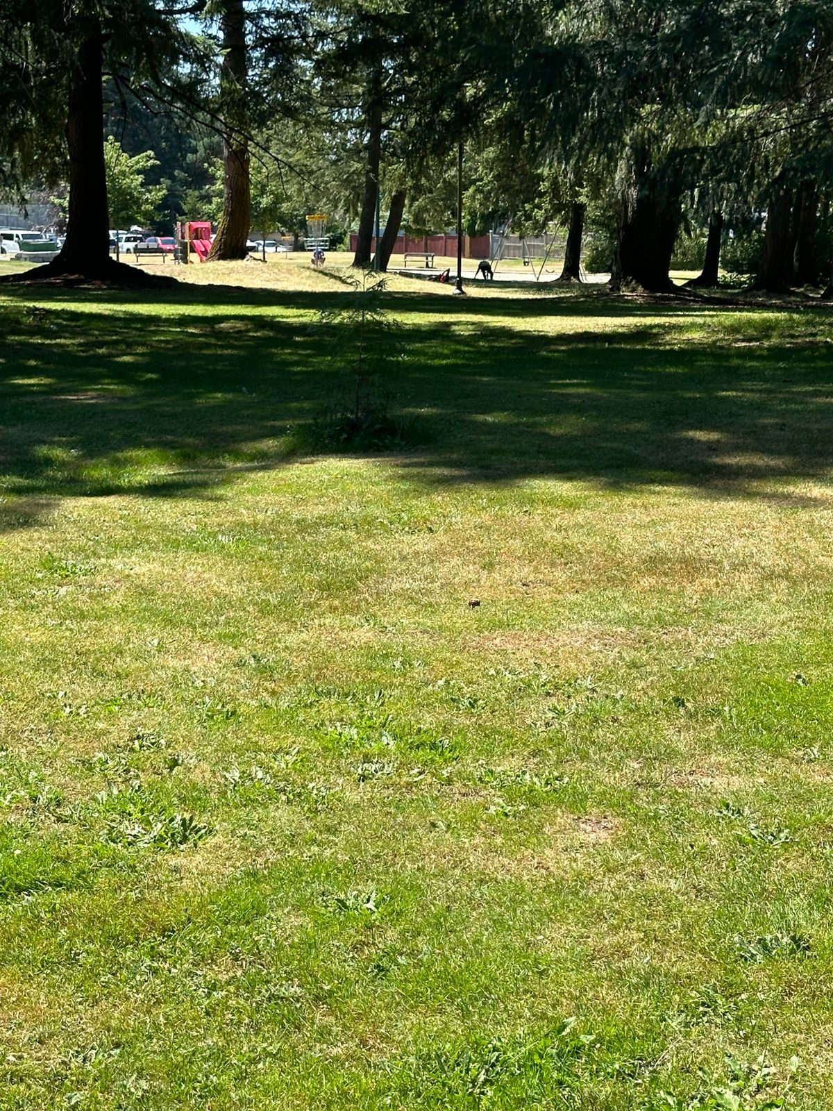 Hole #2