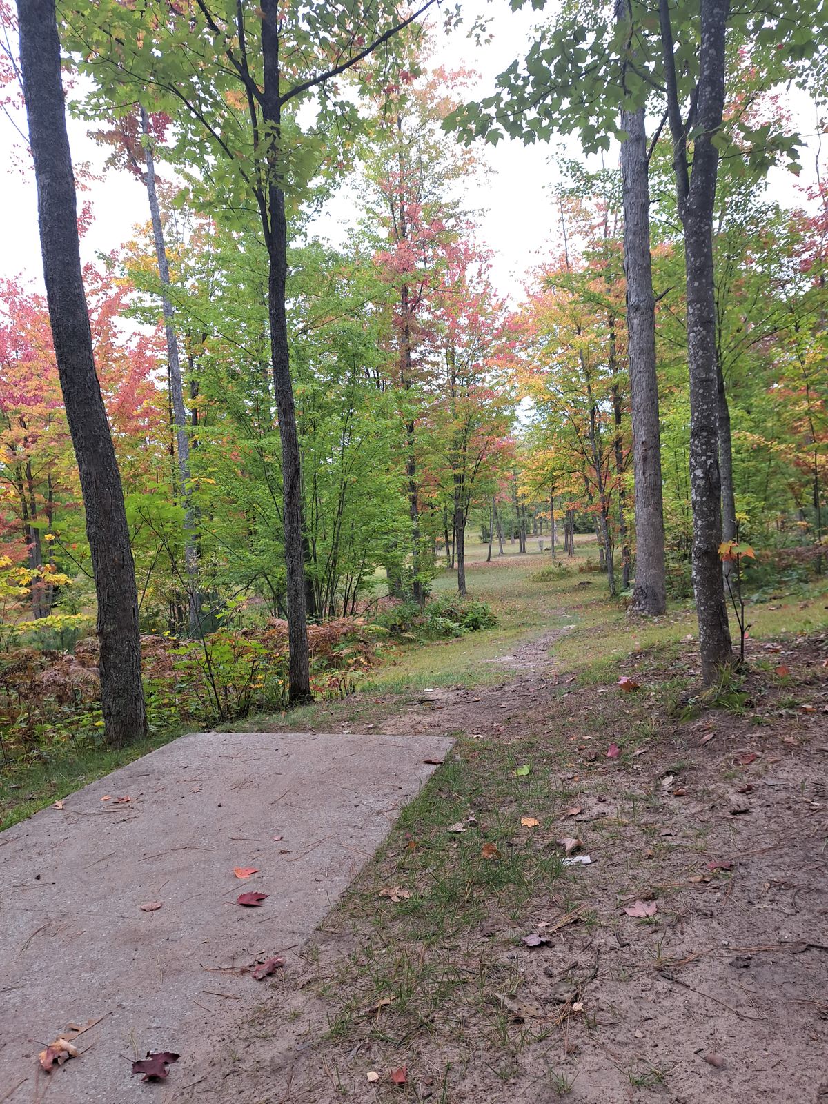 Hole 12 Blue teepad