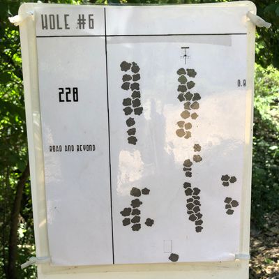 Hole 6