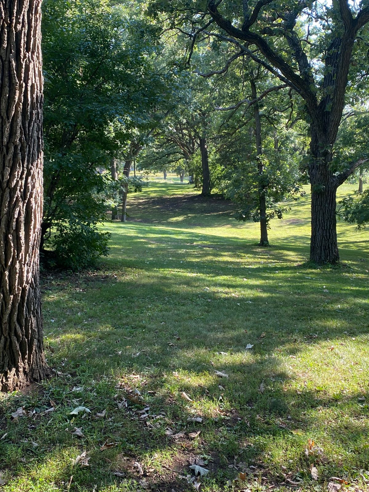 Hole 4 from the tee pad.
