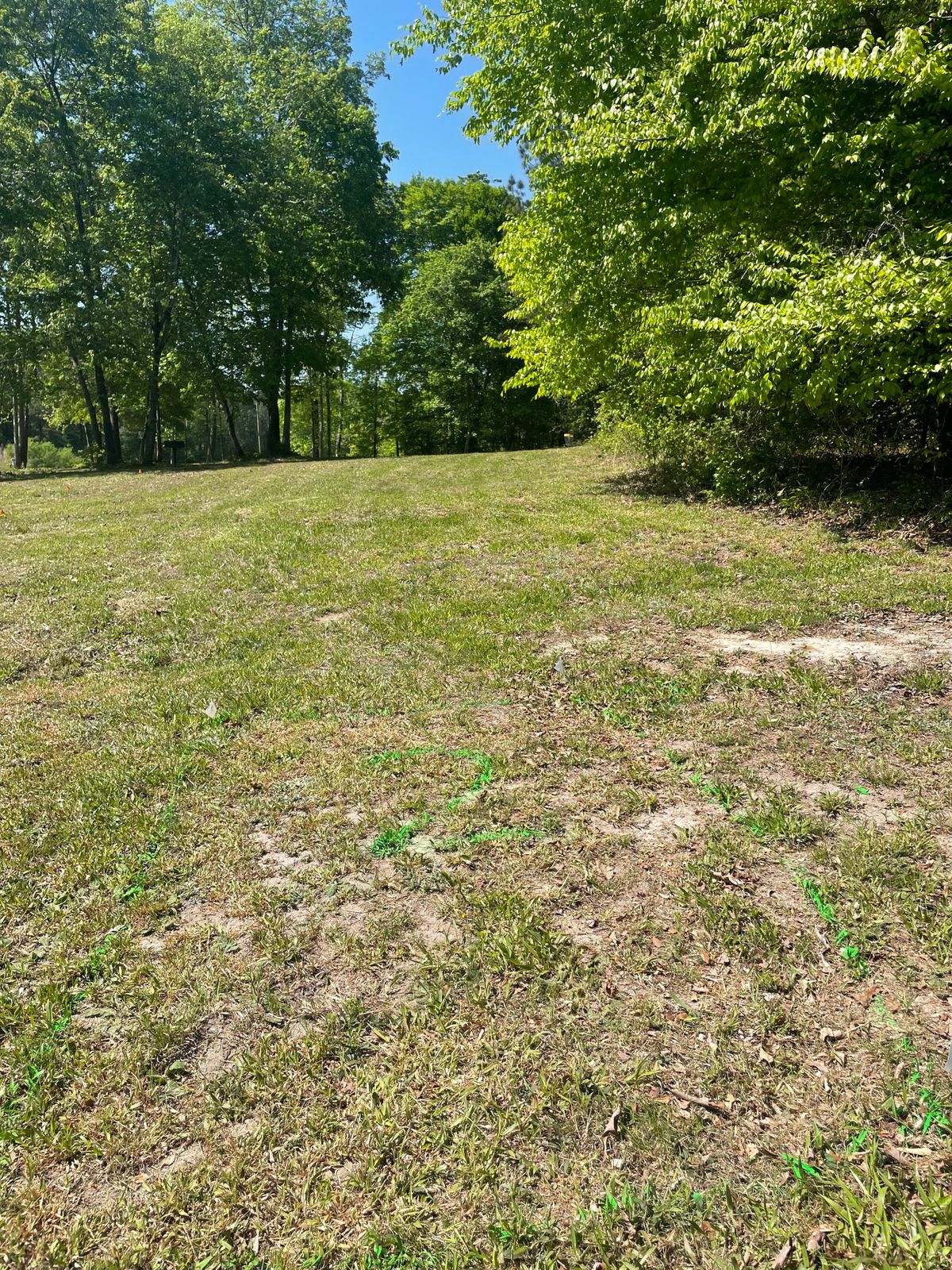 Hole 2 tee box and fairway basket is to the right a bit, just beyond the trees