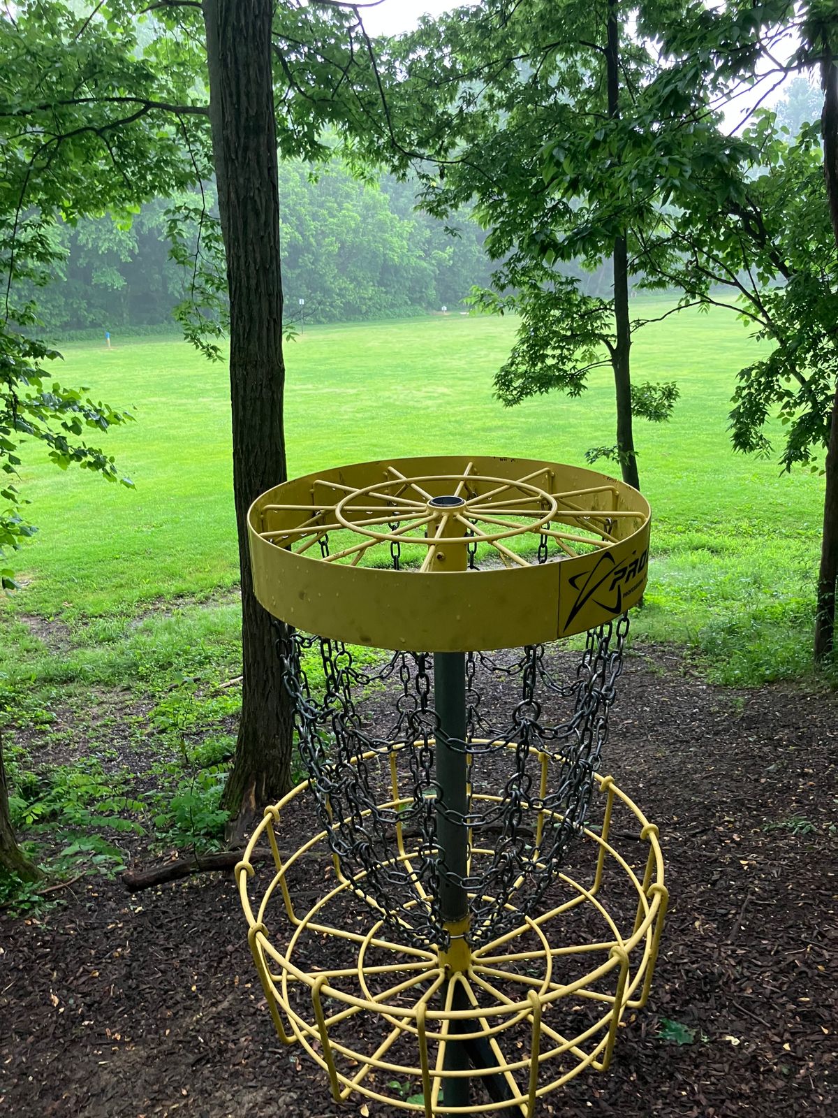 View from the Basket of hole 2 looking at the Tee.
