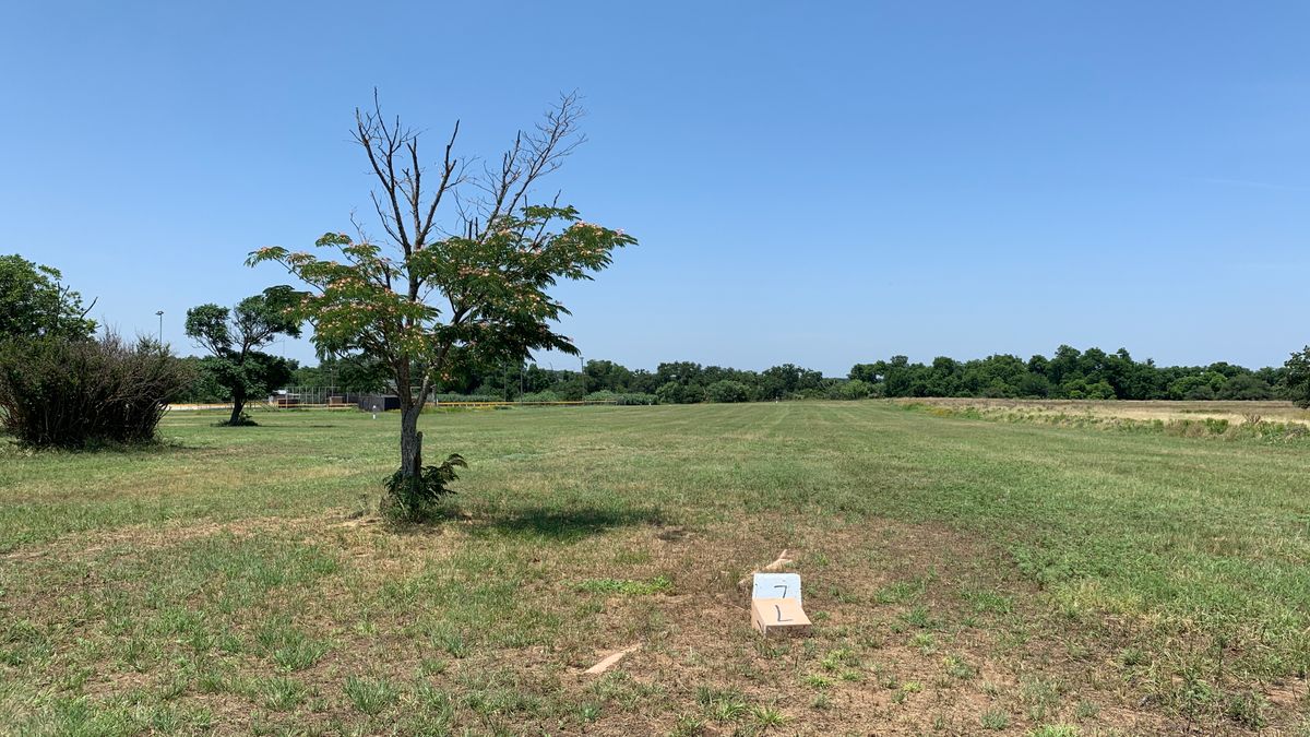 Hole 7