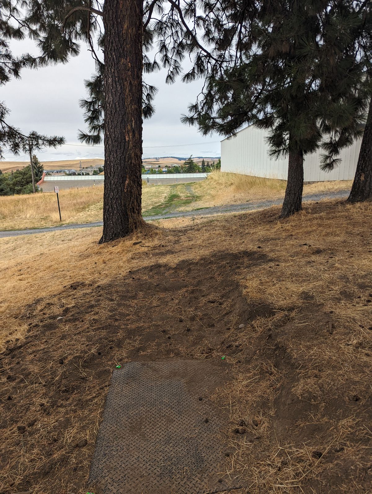 Tee pad #3