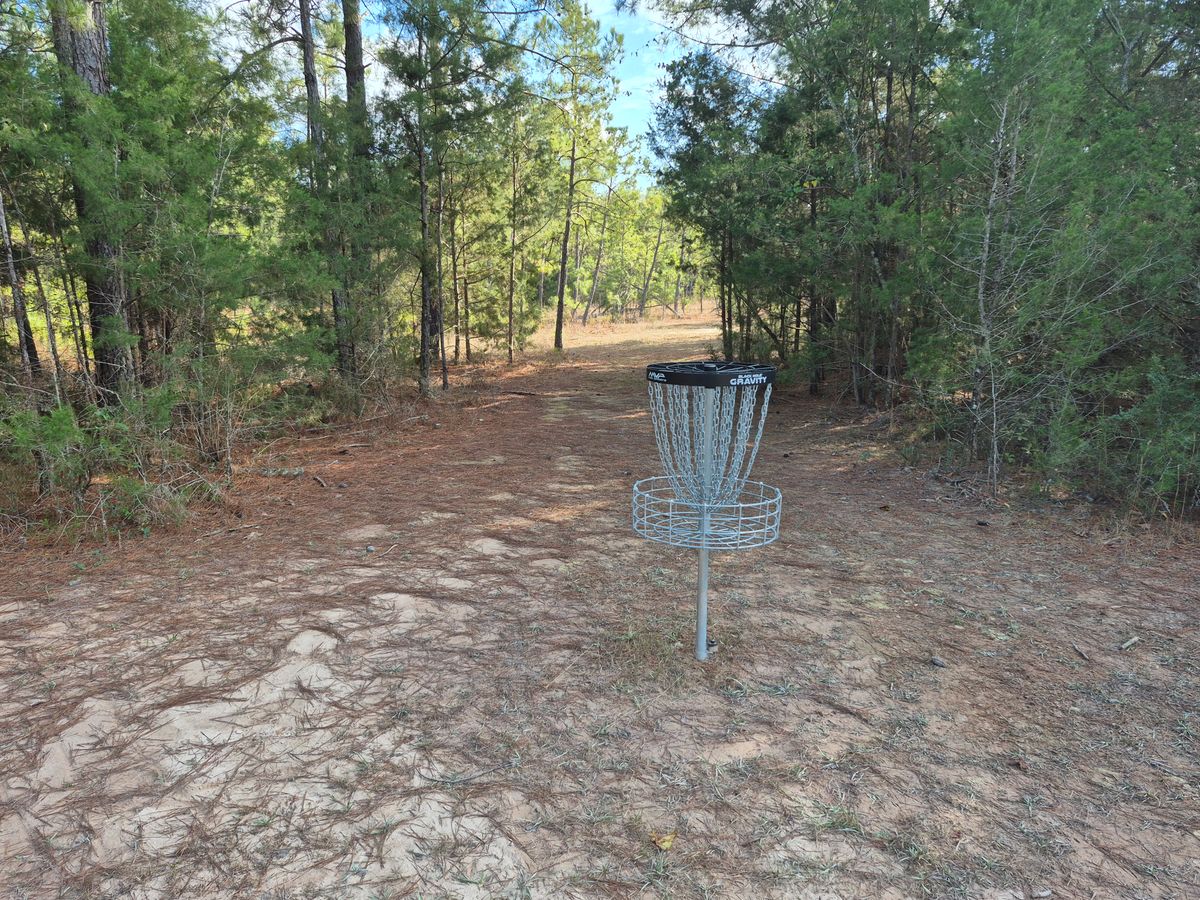 Hole 10 basket