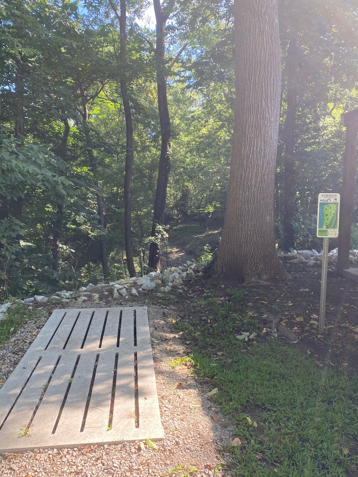 Hole 7 tee pad
