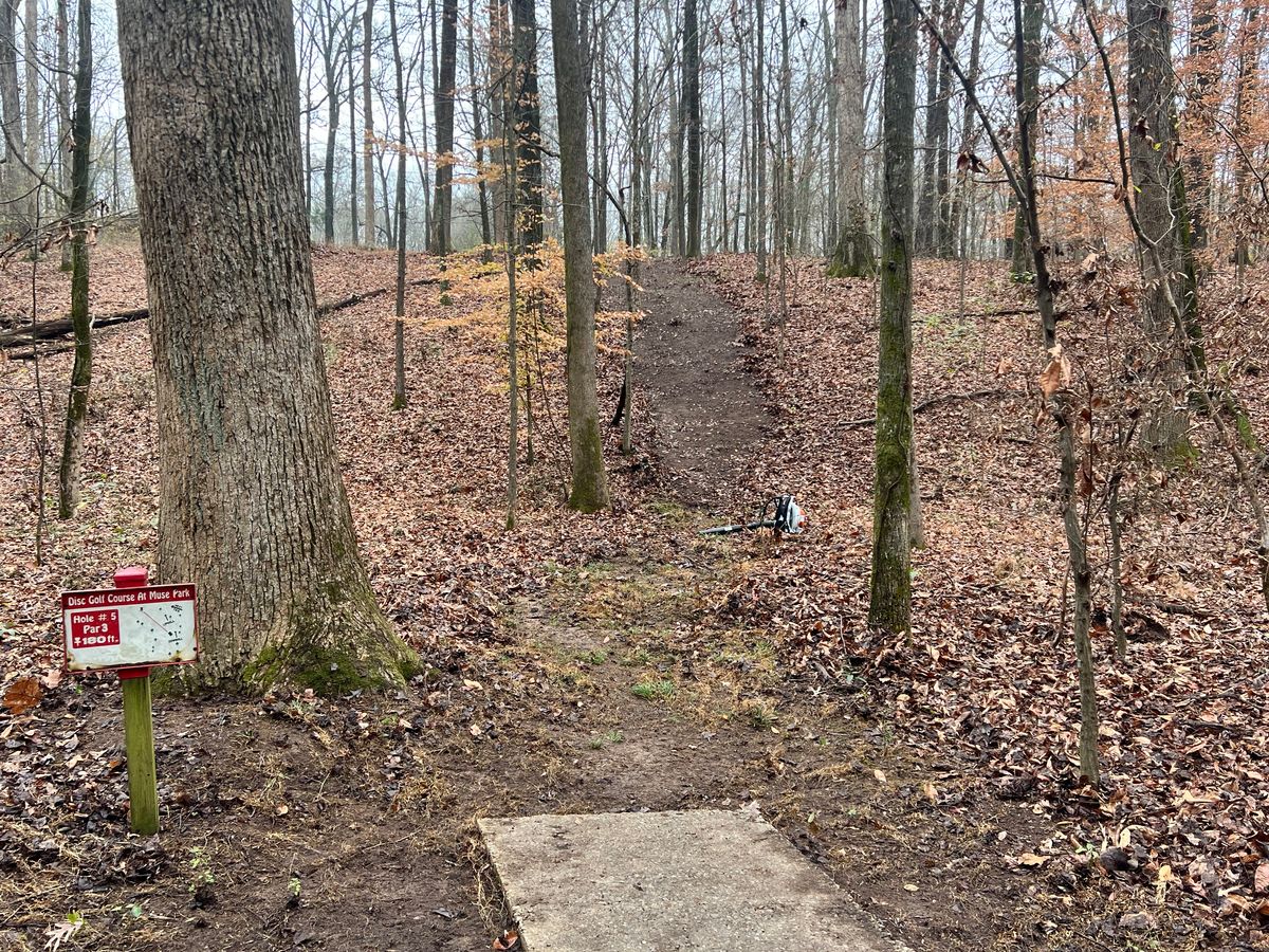 View from hole 5 tee after some fairway clearing.