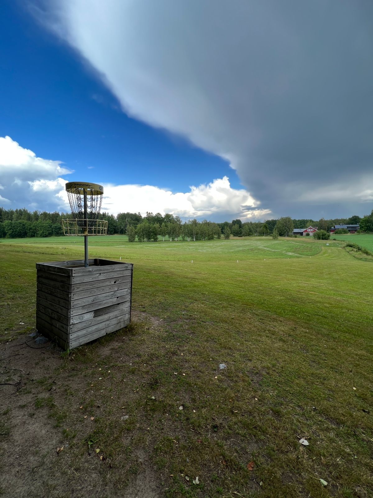 Hole 11 basket and 10 fairway in background