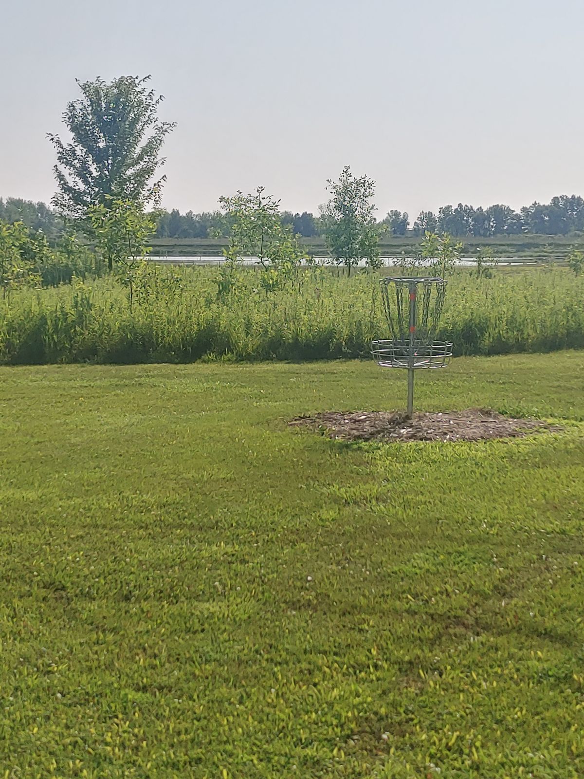 Hole 6