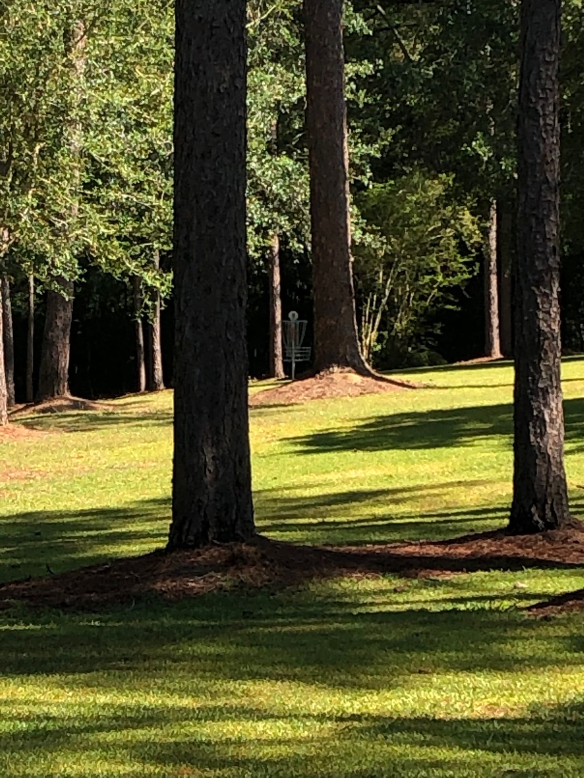 Hole 1