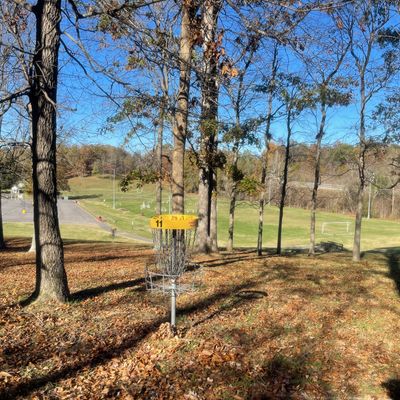 Hole 11; 11/11/2024