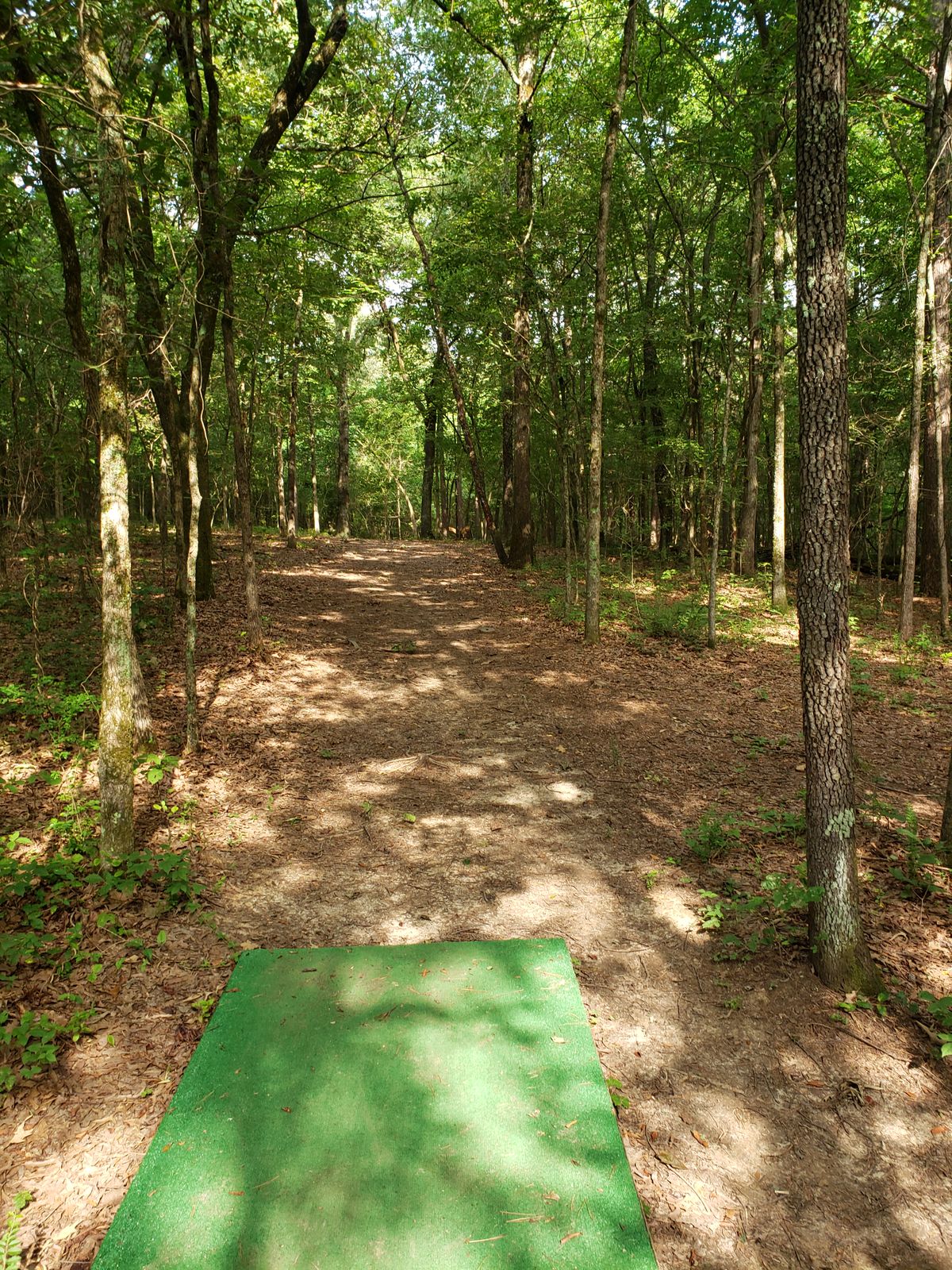 #8 Red Tee-Pad and Fairway
