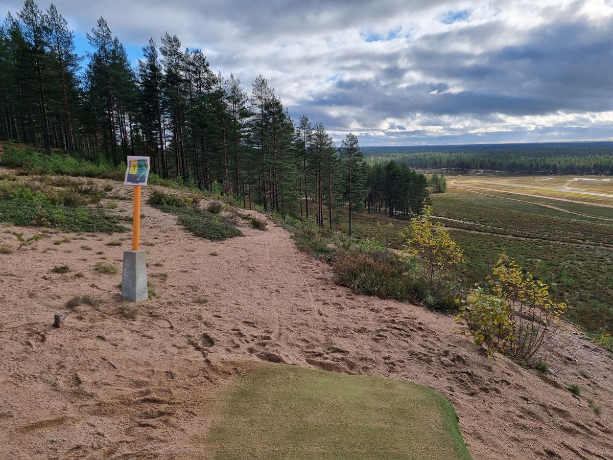 Väylä 3, harjulta alas ja vasemmalle, kaksi eri metsäkaistaletta kierrettävänä
