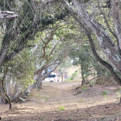 Zoomed in on hole 2