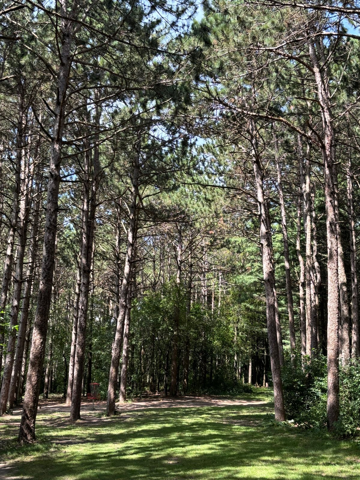 Hole 16