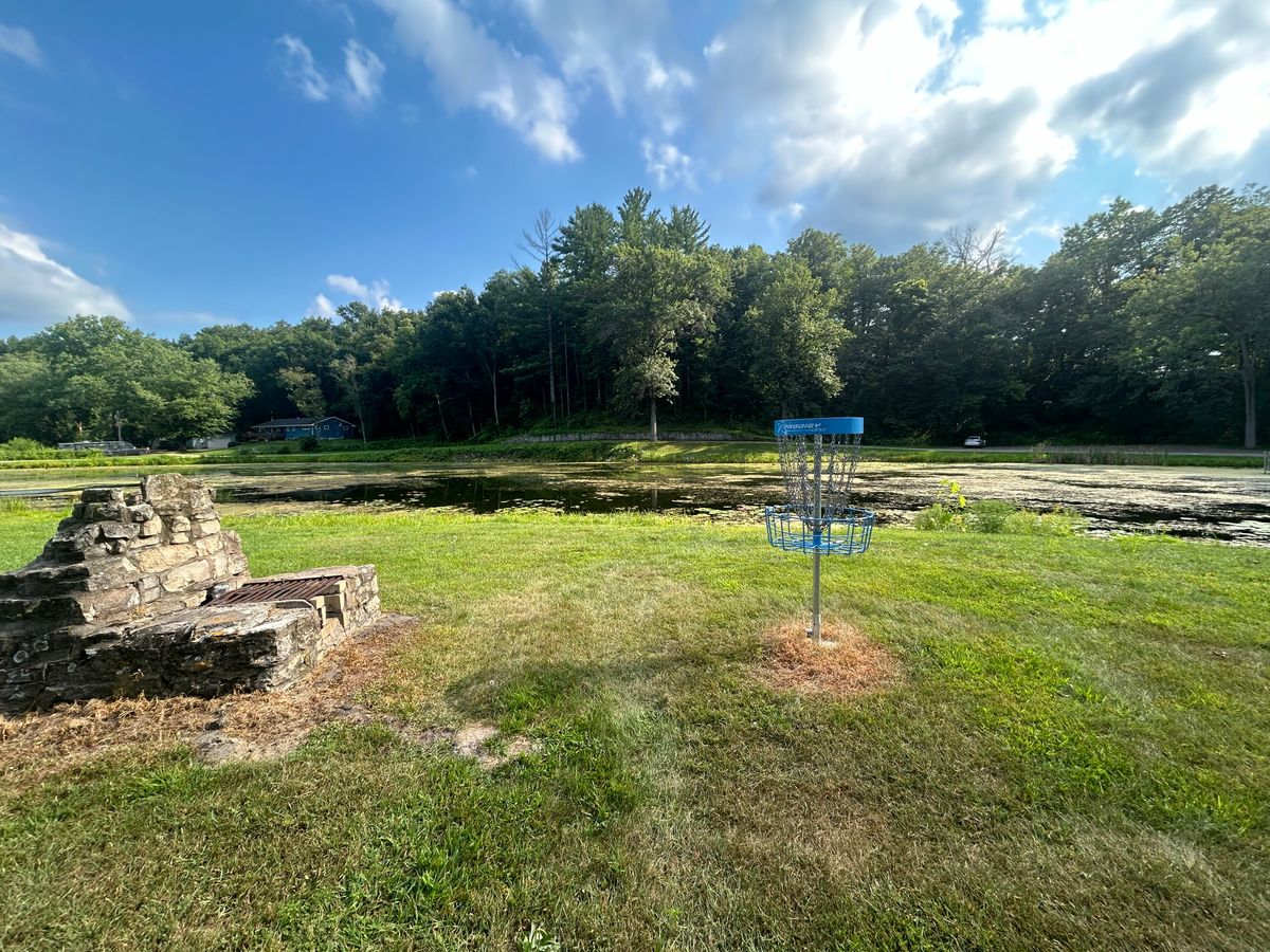 Hole 8 basket