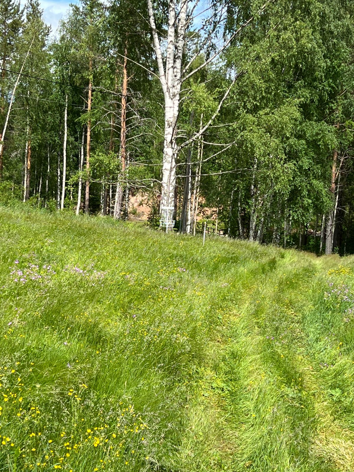 Hål 10