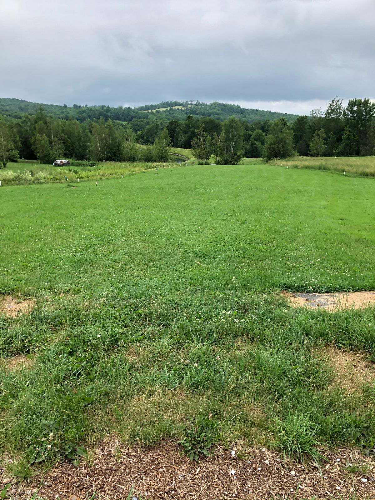 Long par 5 - hole 7