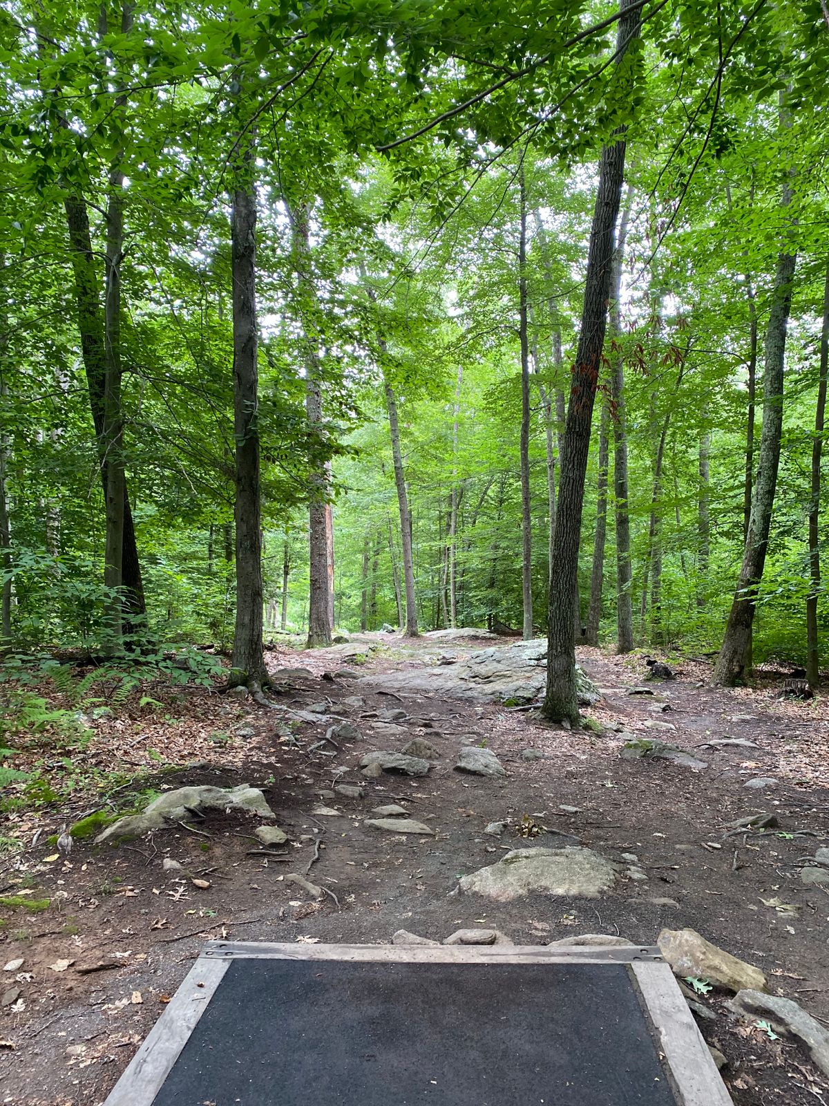 Hole 3