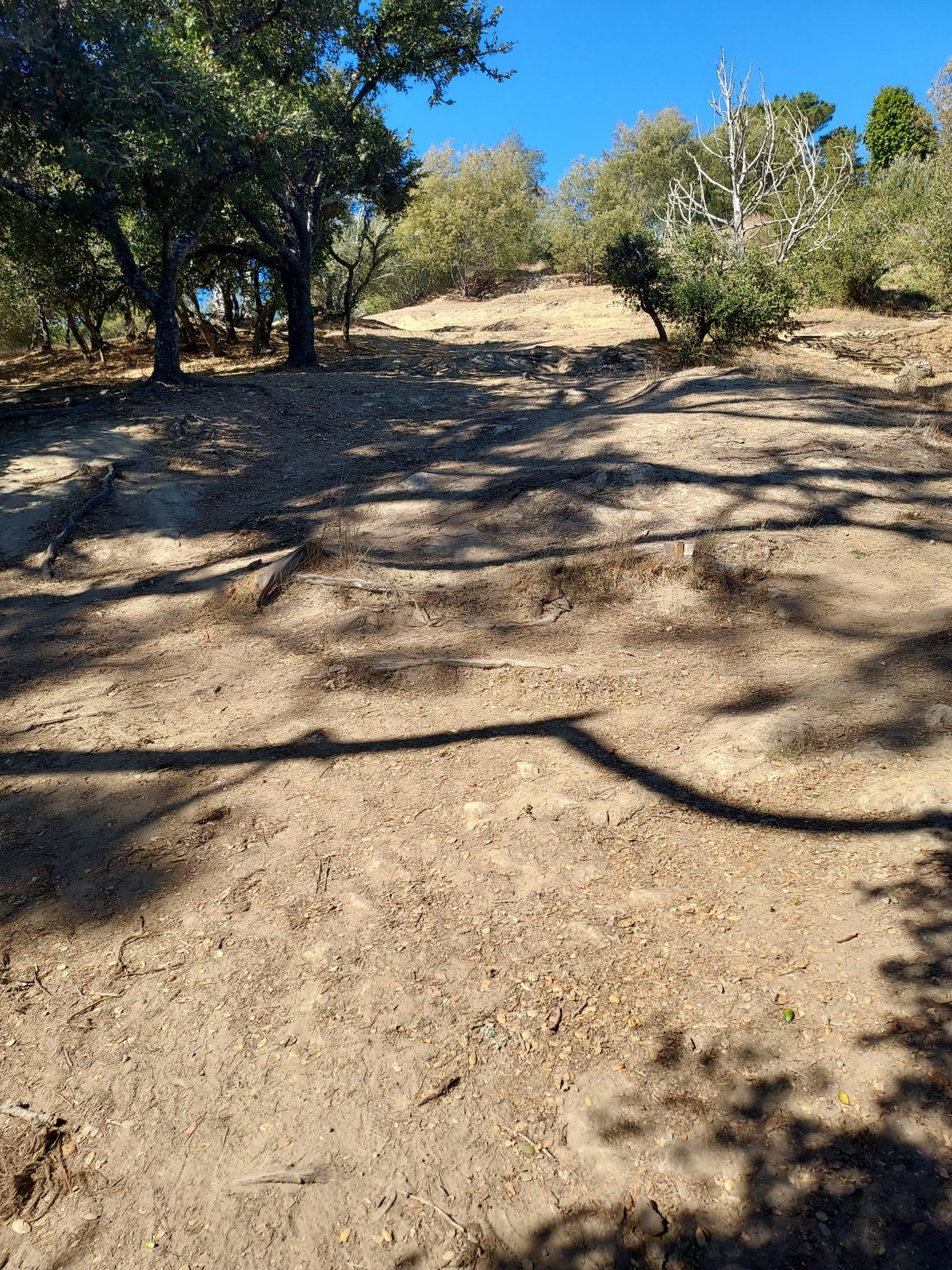 Hole 2 from the tee